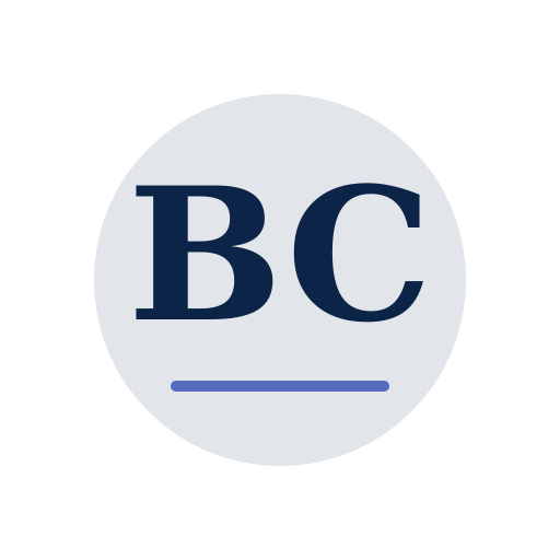 Bauer Chimney Services logo
